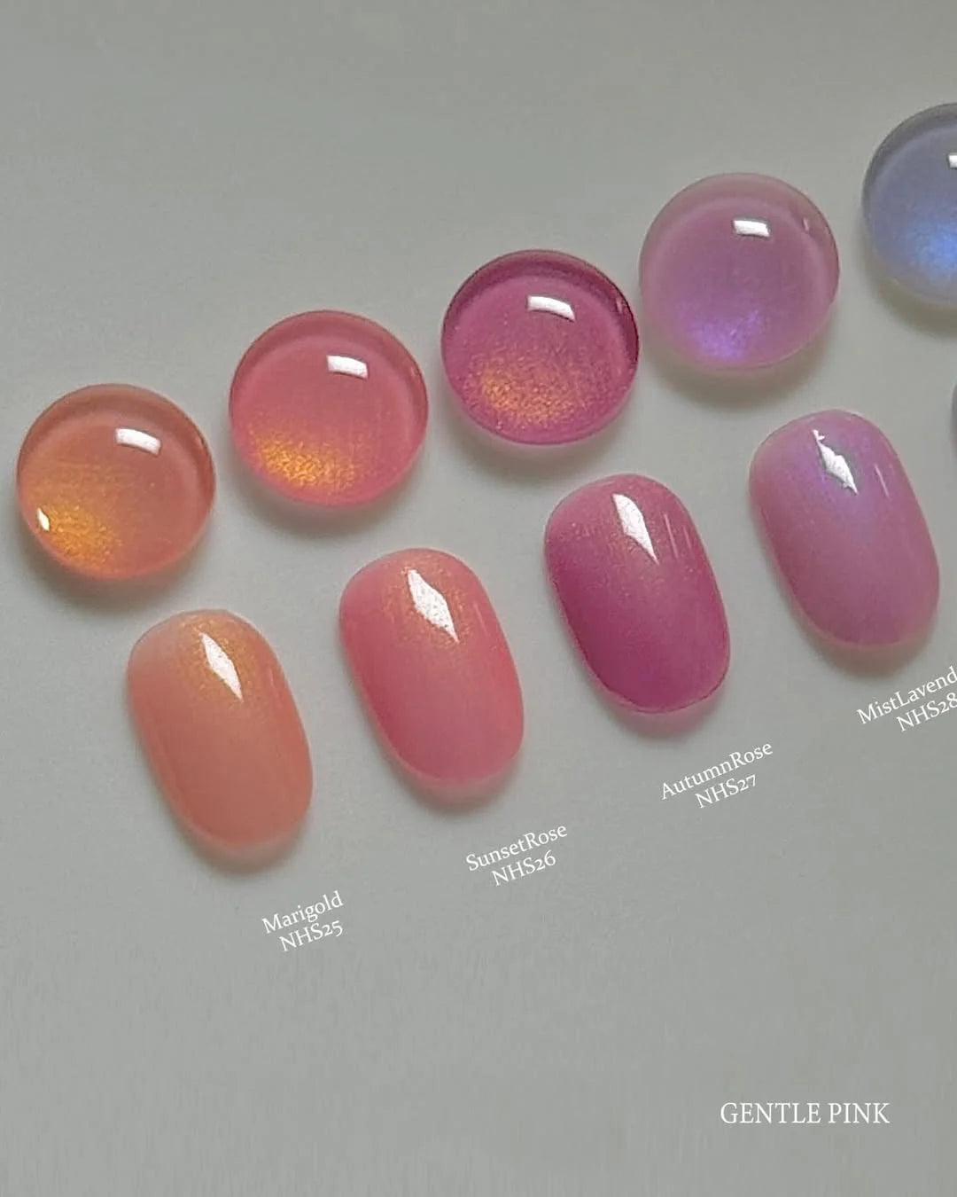 GENTLE PINK Dreamy 12pc collection